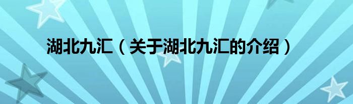 湖北九汇（关于湖北九汇的介绍）