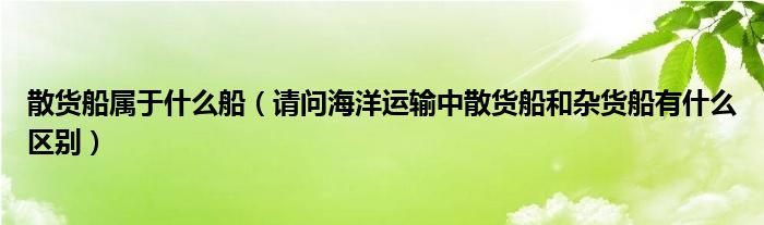散货船属于什么船（请问海洋运输中散货船和杂货船有什么区别）