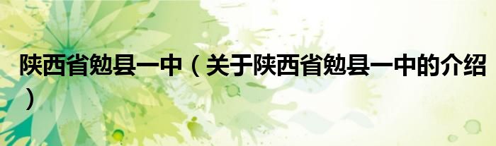 陕西省勉县一中（关于陕西省勉县一中的介绍）
