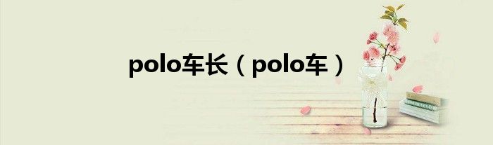 polo车长（polo车）