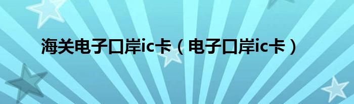海关电子口岸ic卡（电子口岸ic卡）
