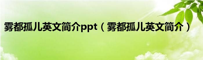 雾都孤儿英文简介ppt（雾都孤儿英文简介）
