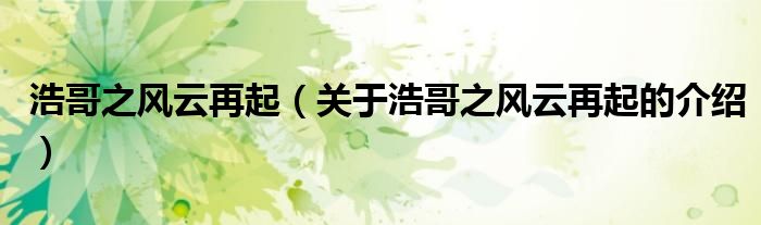 浩哥之风云再起（关于浩哥之风云再起的介绍）