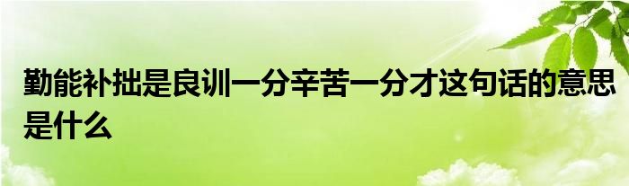 勤能补拙是良训一分辛苦一分才这句话的意思是什么