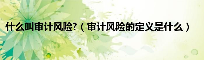 什么叫审计风险?（审计风险的定义是什么）
