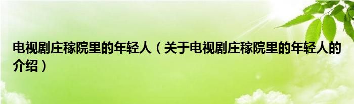 电视剧庄稼院里的年轻人（关于电视剧庄稼院里的年轻人的介绍）