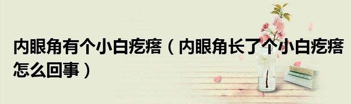 内眼角有个小白疙瘩（内眼角长了个小白疙瘩怎么回事）
