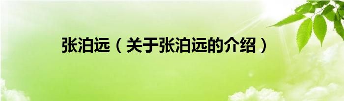 张泊远（关于张泊远的介绍）
