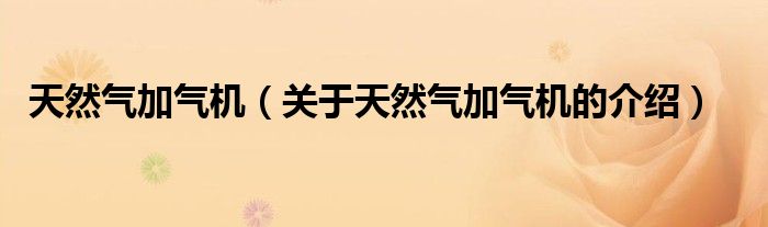 天然气加气机（关于天然气加气机的介绍）