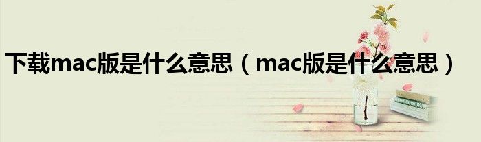 下载mac版是什么意思（mac版是什么意思）