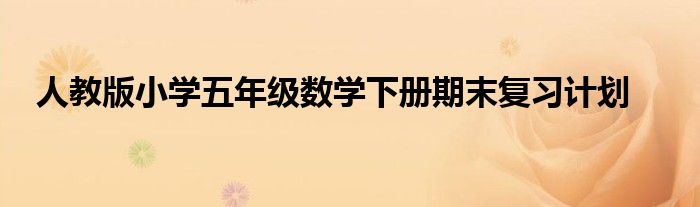 人教版小学五年级数学下册期末复习计划