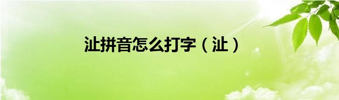 沚拼音怎么打字（沚）