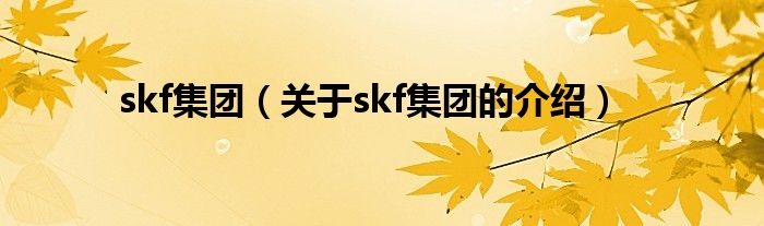 skf集团（关于skf集团的介绍）