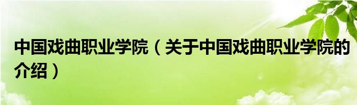 中国戏曲职业学院（关于中国戏曲职业学院的介绍）