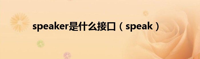 speaker是什么接口（speak）