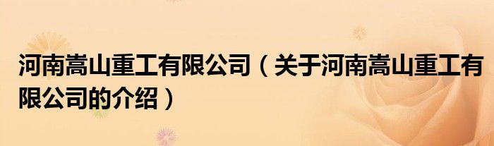 河南嵩山重工有限公司（关于河南嵩山重工有限公司的介绍）