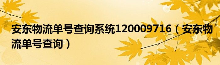 安东物流单号查询系统120009716（安东物流单号查询）