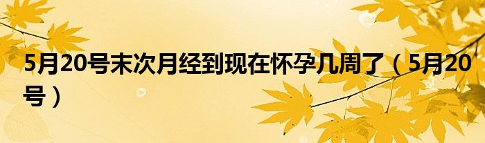 5月20号末次月经到现在怀孕几周了（5月20号）