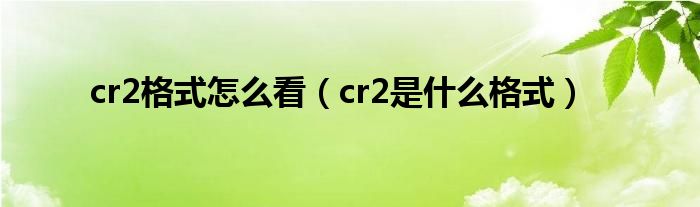 cr2格式怎么看（cr2是什么格式）