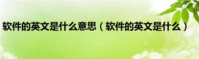 软件的英文是什么意思（软件的英文是什么）