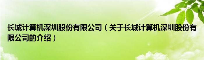 长城计算机深圳股份有限公司（关于长城计算机深圳股份有限公司的介绍）