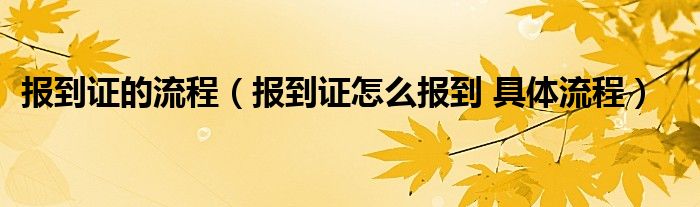 报到证的流程（报到证怎么报到 具体流程）