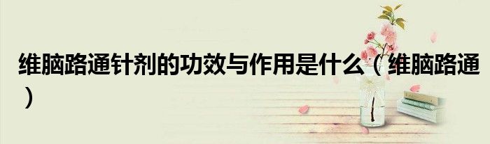 维脑路通针剂的功效与作用是什么（维脑路通）