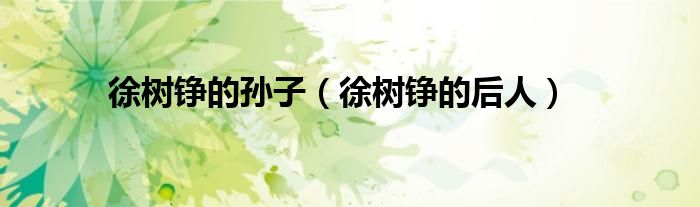 徐树铮的孙子（徐树铮的后人）