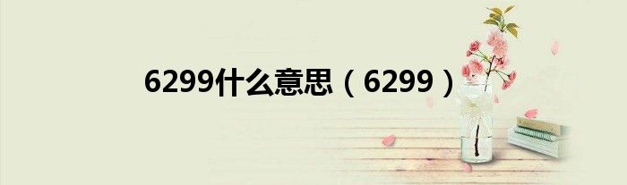 6299什么意思（6299）