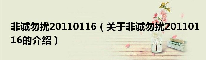 非诚勿扰20110116（关于非诚勿扰20110116的介绍）