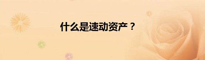 什么是速动资产？