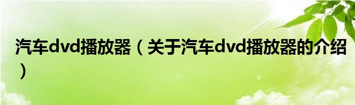 汽车dvd播放器（关于汽车dvd播放器的介绍）