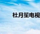 杜月笙电视剧全集（杜月笙电视剧）