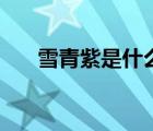 雪青紫是什么颜色（雪青是什么颜色）