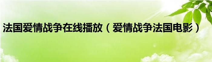 法国爱情战争在线播放（爱情战争法国电影）
