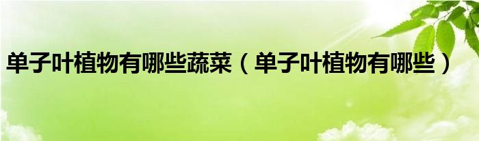 单子叶植物有哪些蔬菜（单子叶植物有哪些）