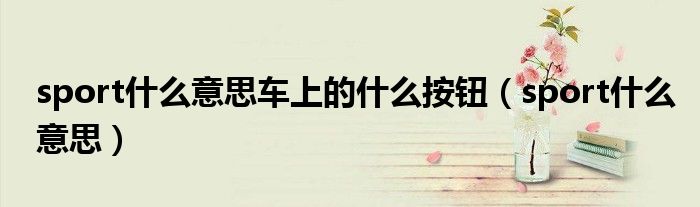 sport什么意思车上的什么按钮（sport什么意思）