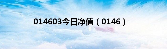 014603今日净值（0146）