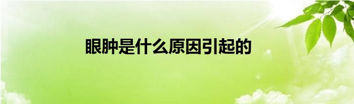 眼肿是什么原因引起的