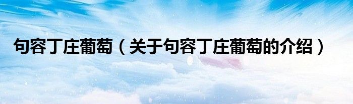 句容丁庄葡萄（关于句容丁庄葡萄的介绍）