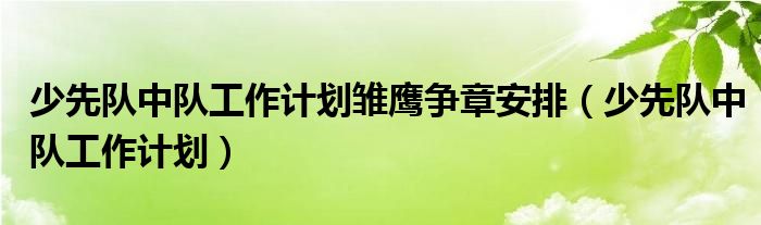 少先队中队工作计划雏鹰争章安排（少先队中队工作计划）