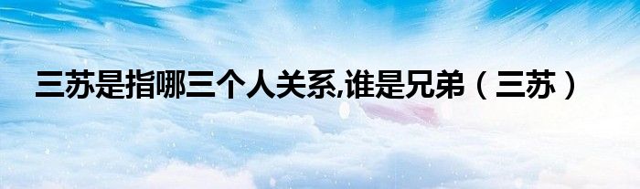 三苏是指哪三个人关系,谁是兄弟（三苏）