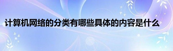 计算机网络的分类有哪些具体的内容是什么