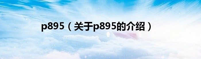 p895（关于p895的介绍）