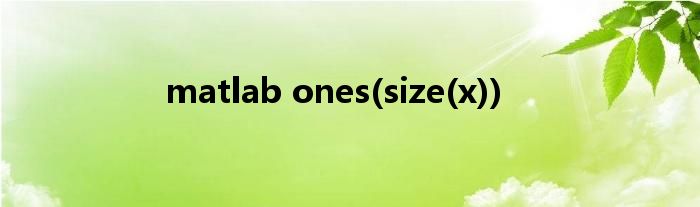 matlab ones(size(x))