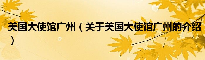 美国大使馆广州（关于美国大使馆广州的介绍）