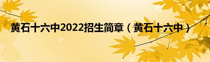 黄石十六中2022招生简章（黄石十六中）