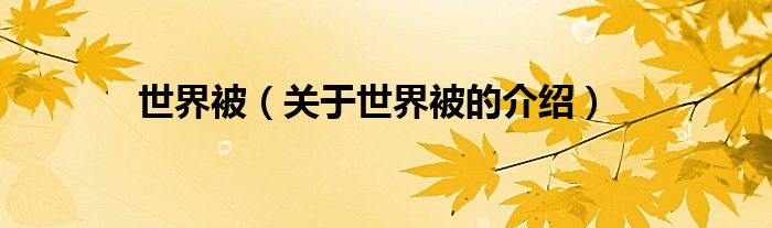 世界被（关于世界被的介绍）