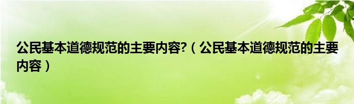 公民基本道德规范的主要内容?（公民基本道德规范的主要内容）