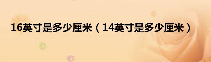 16英寸是多少厘米（14英寸是多少厘米）-66绿色资源网-第8张图片